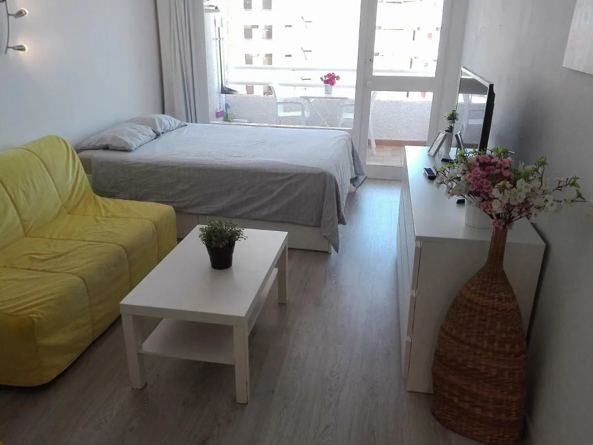 Apartment Borinquen Private Homes Playa de las Americas  Spain